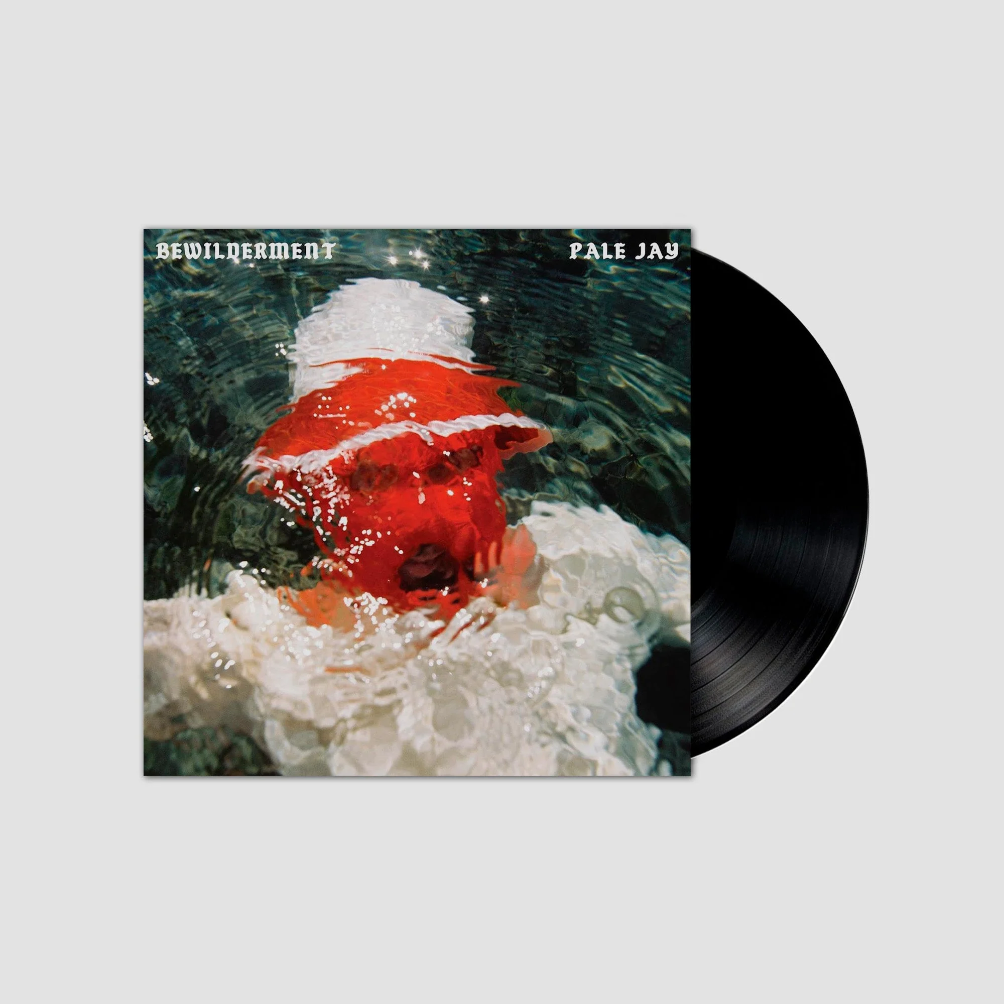 Bewilderment (Edición en Vinilo)