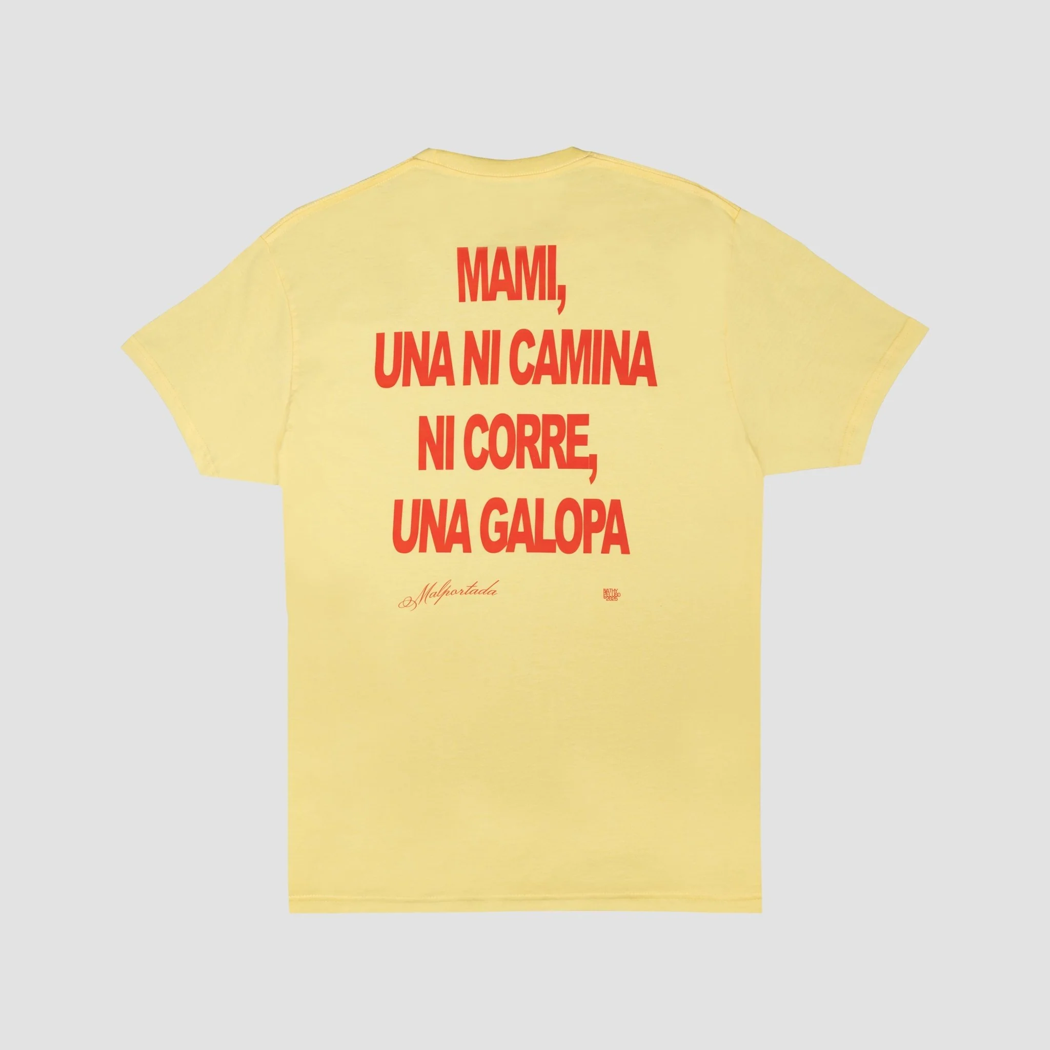 Camiseta a Caballo