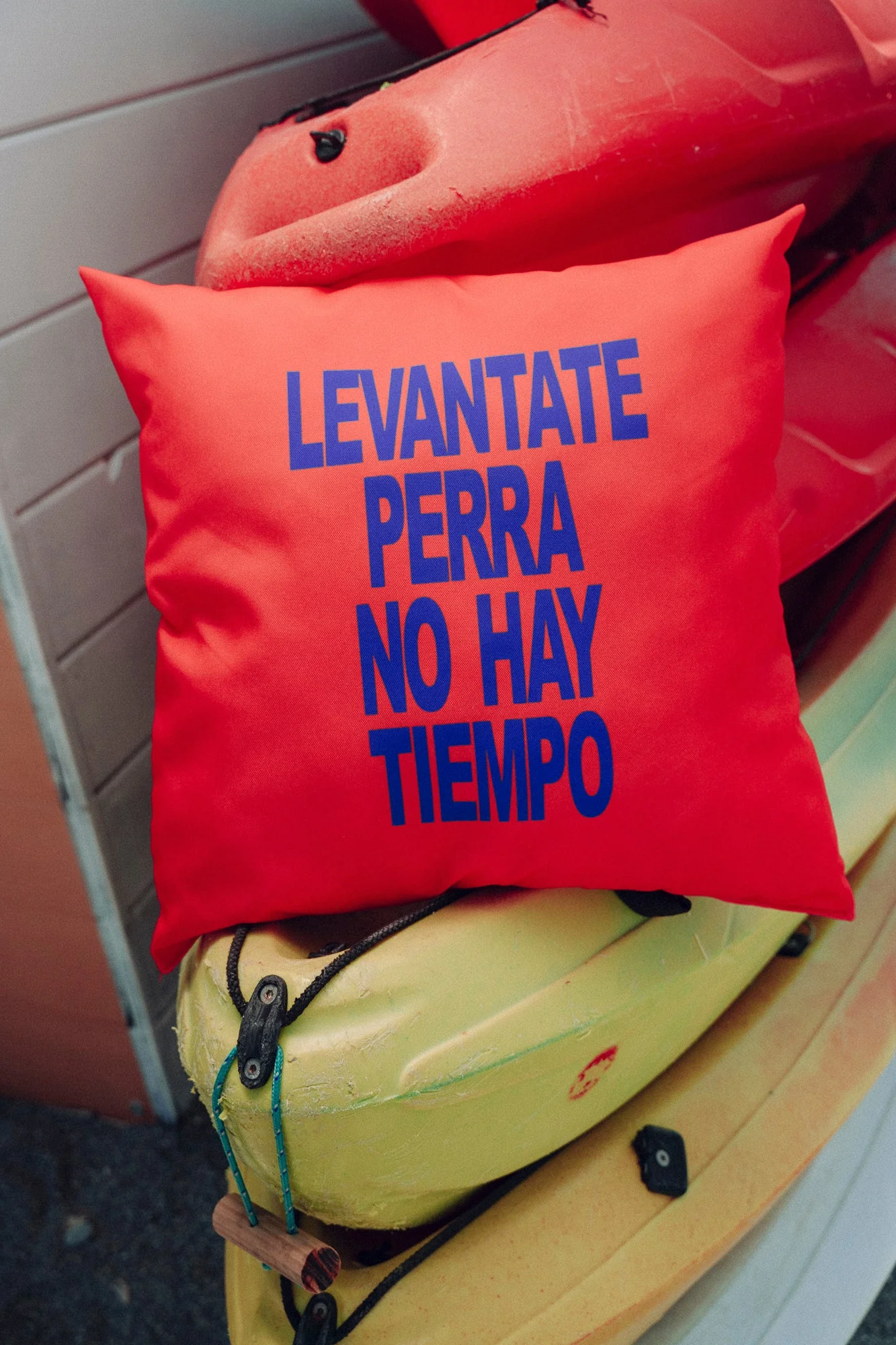 COJÍN LEVÁNTATE PERRA - Image 4