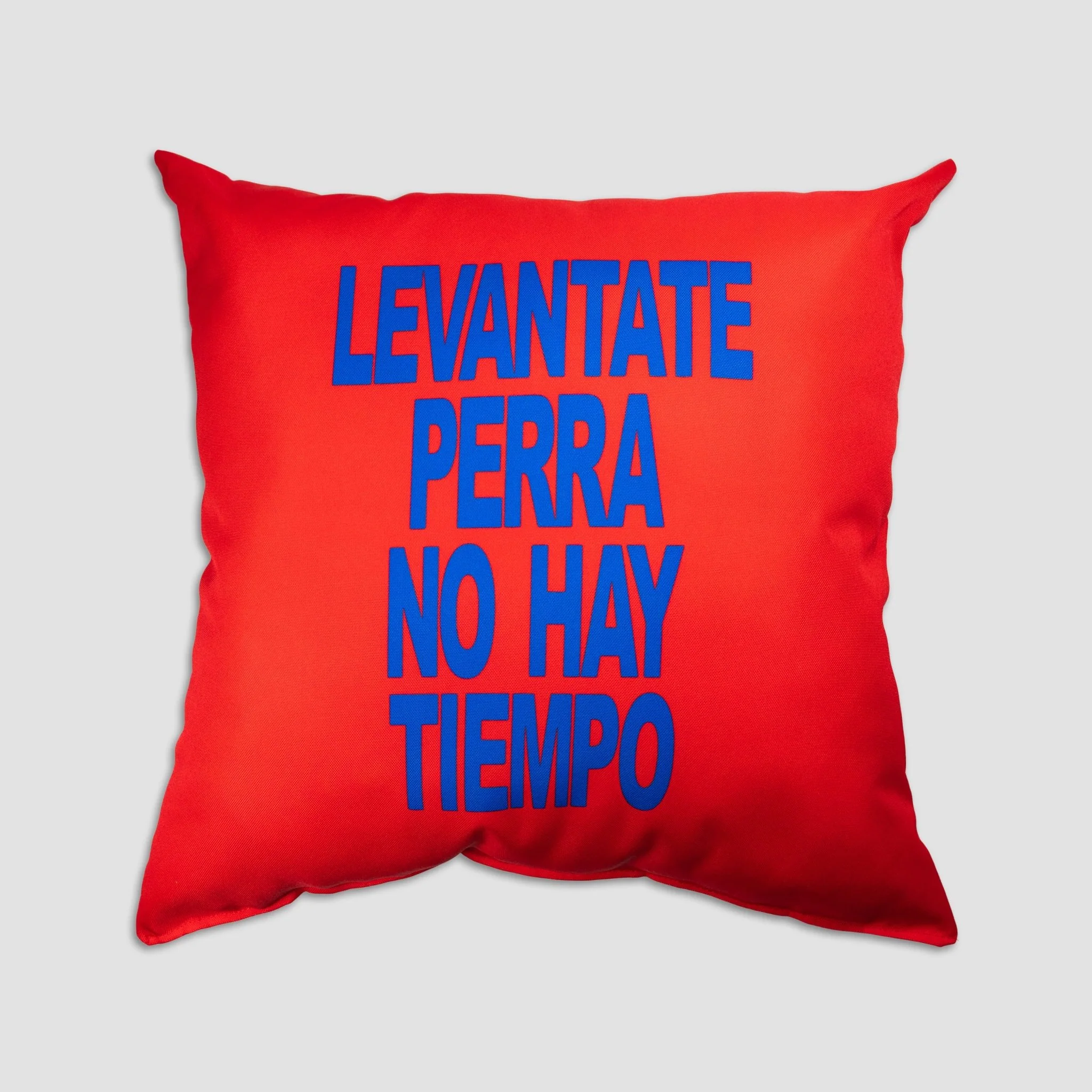 COJÍN LEVÁNTATE PERRA - Image 5