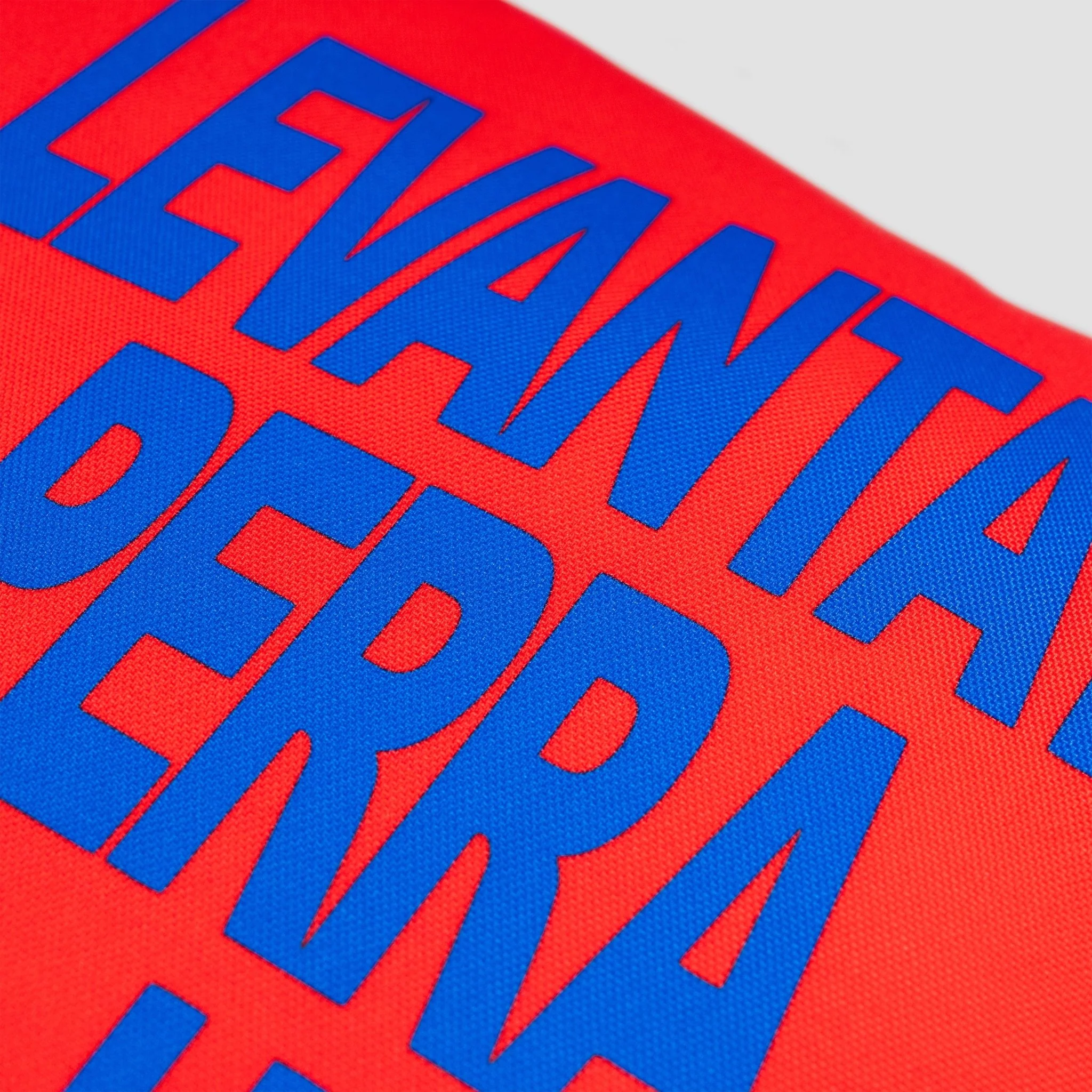 COJÍN LEVÁNTATE PERRA - Image 6