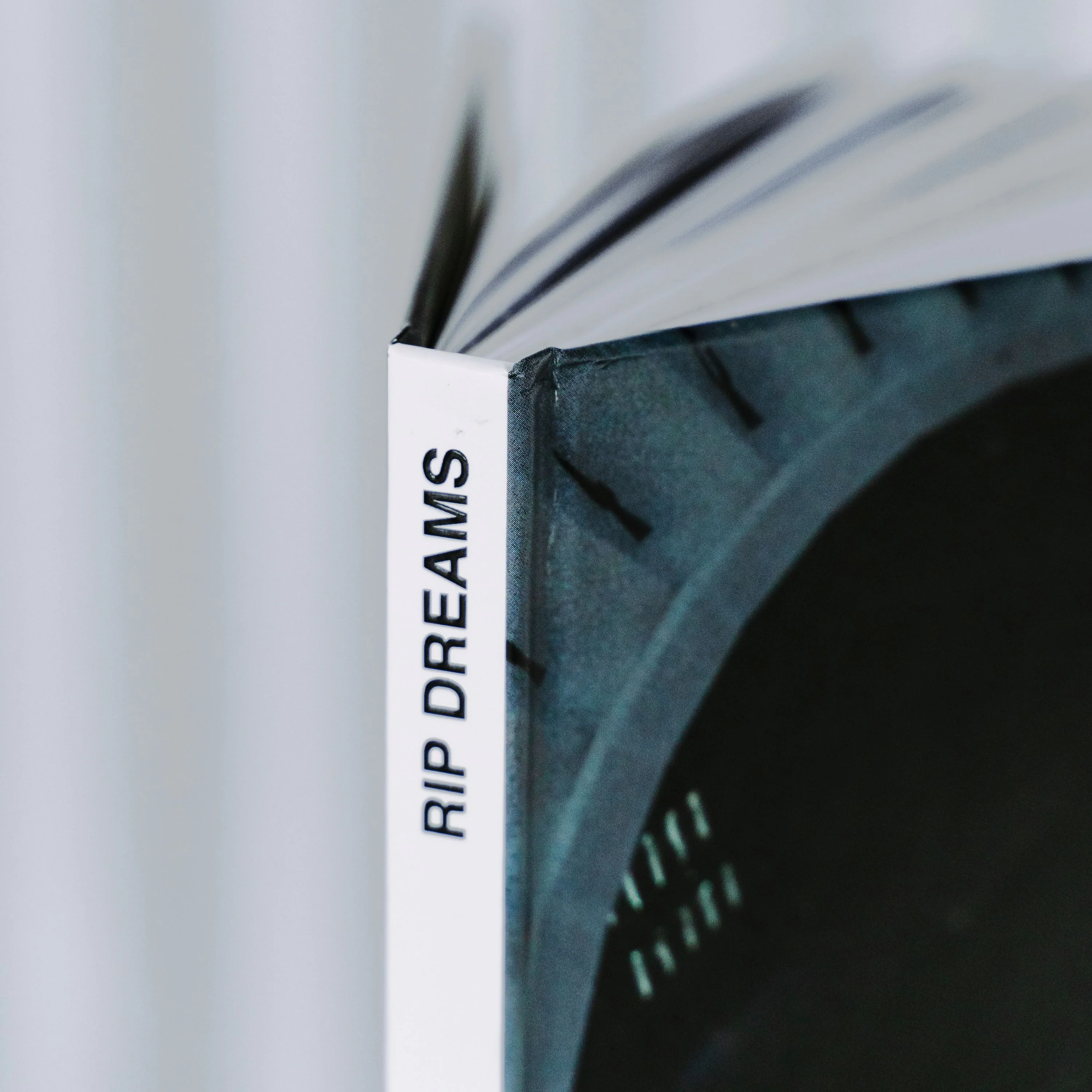 Libro RIP Dreams - Image 7