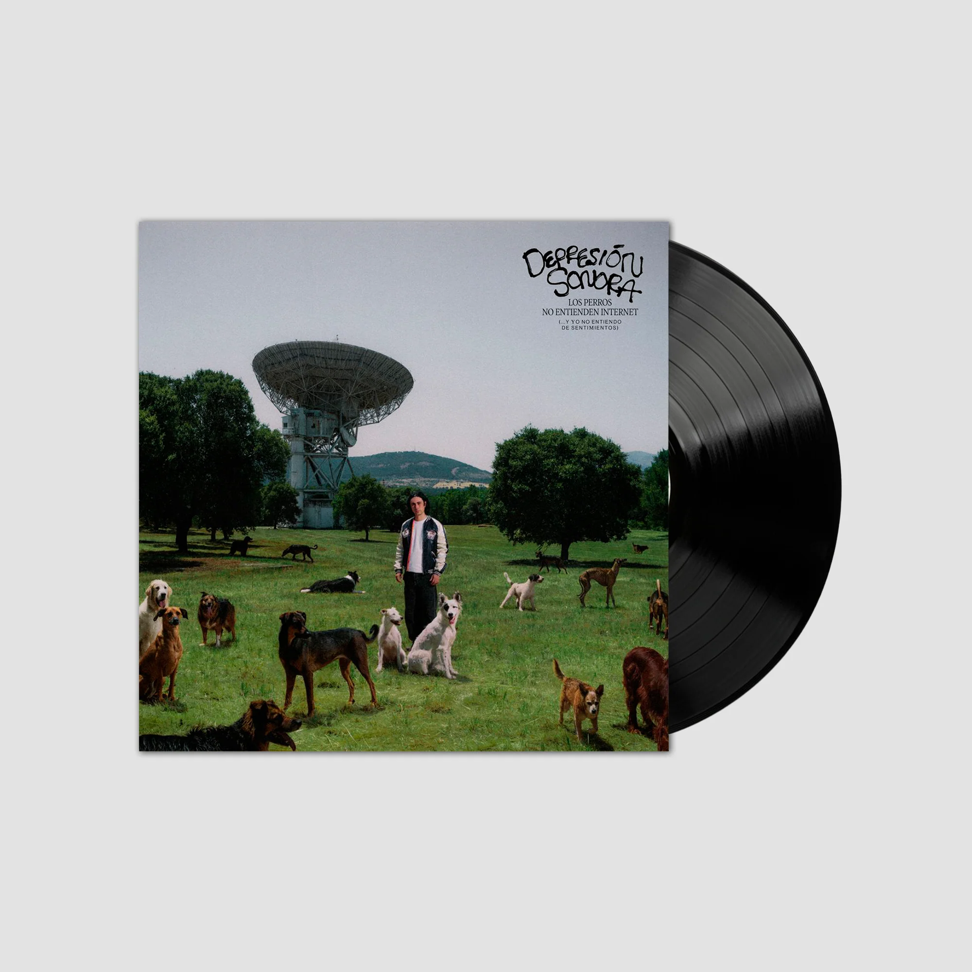 Los Perros No Entienden Internet (Edición en Vinilo)