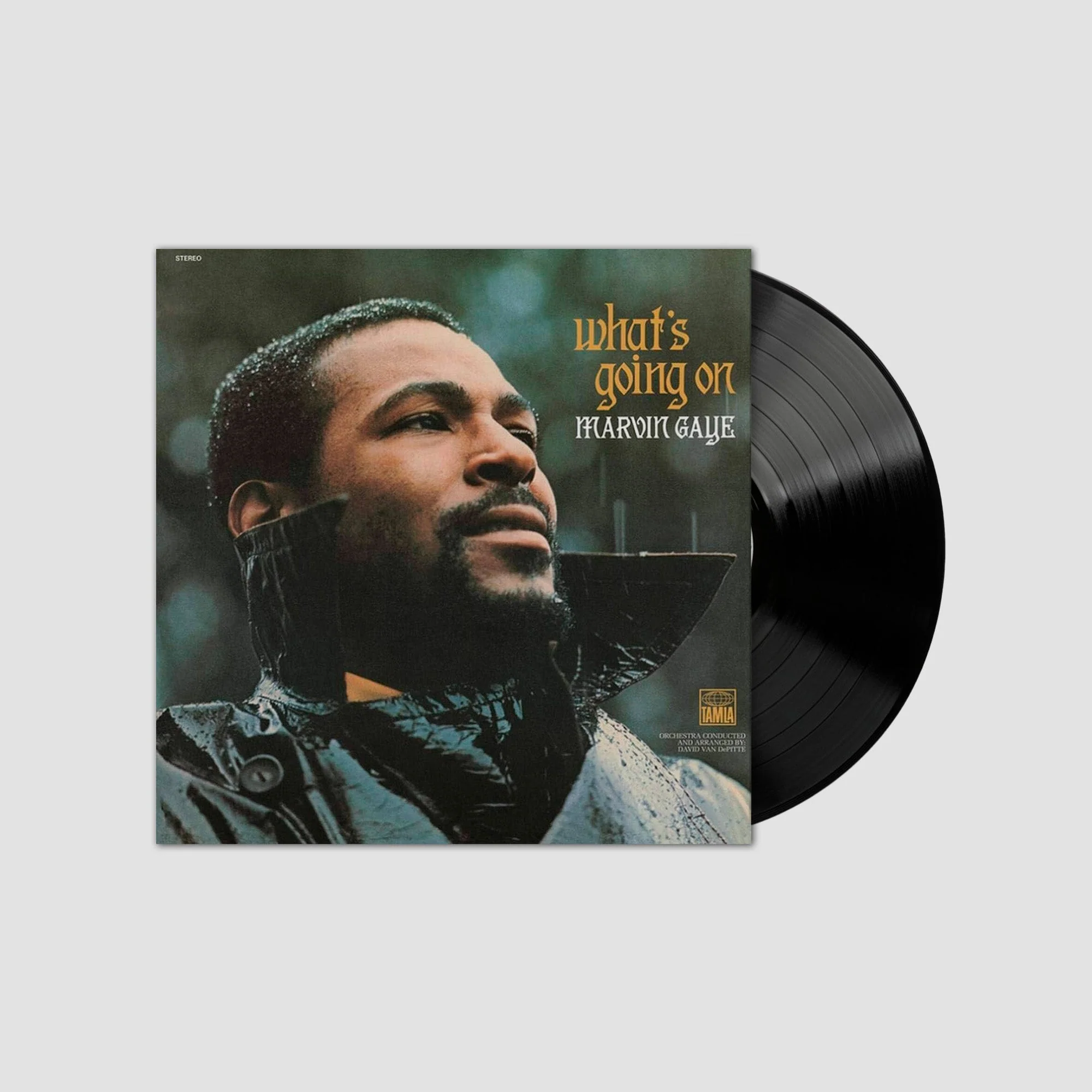 What's Going On (Edición en Vinilo)